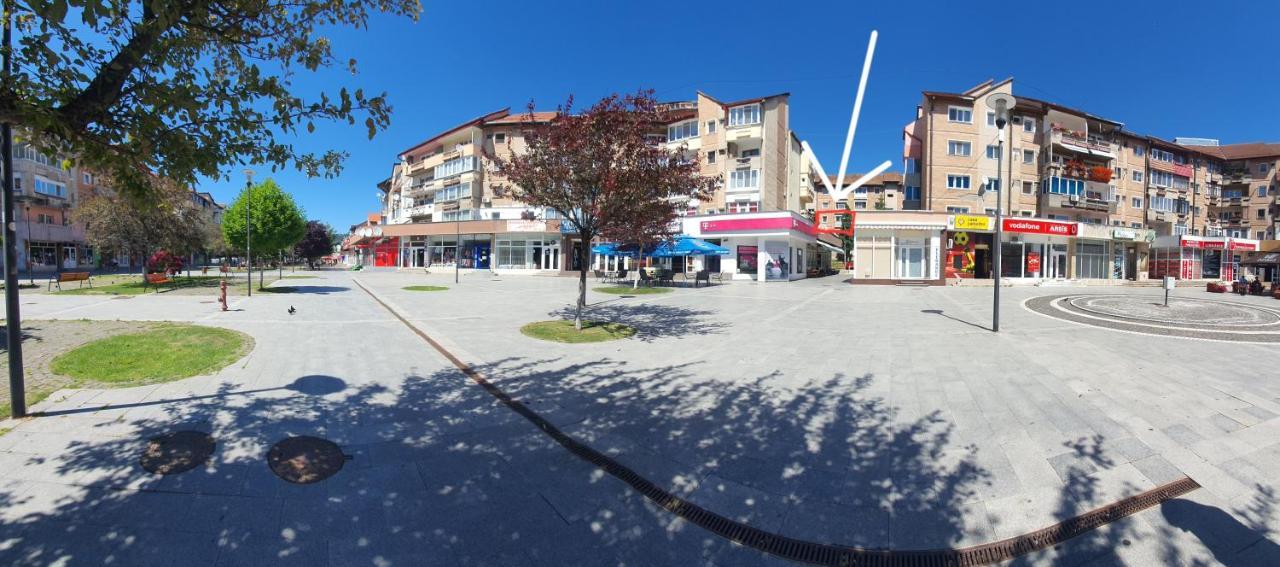 Studio Six Continents Петрошани Экстерьер фото